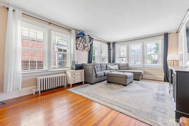 54 5th St, Fords, NJ 08863 - living room with radiator, wood finished floors, and baseboards