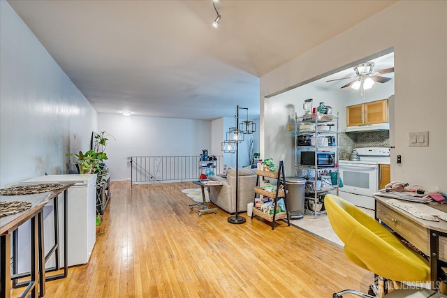 521 Andria Ave Unit 202, Hillsborough, NJ 08844 - living room featuring light wood finished floors and ceiling fan