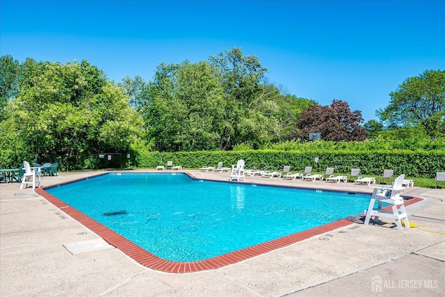 521 Andria Ave Unit 202, Hillsborough, NJ 08844 - community pool featuring a patio and view of wooded area