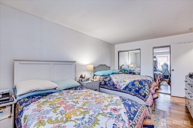521 Andria Ave Unit 202, Hillsborough, NJ 08844 - bedroom with light wood finished floors and a closet