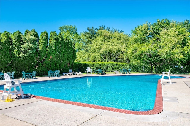 521 Andria Ave Unit 202, Hillsborough, NJ 08844 - community pool featuring a patio and view of wooded area