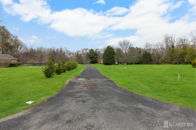 445 Grace Hill Rd, Monroe, NJ 08831 - view of street