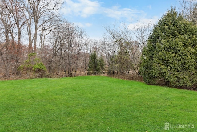 445 Grace Hill Rd, Monroe, NJ 08831 - view of yard