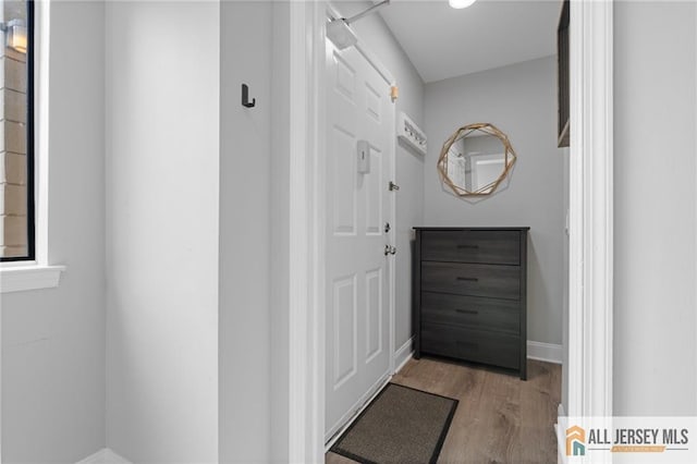 bathroom featuring wood-type flooring