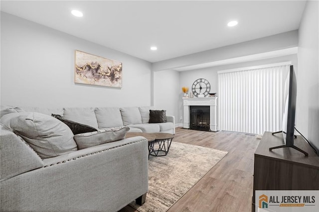 living room featuring light hardwood / wood-style floors