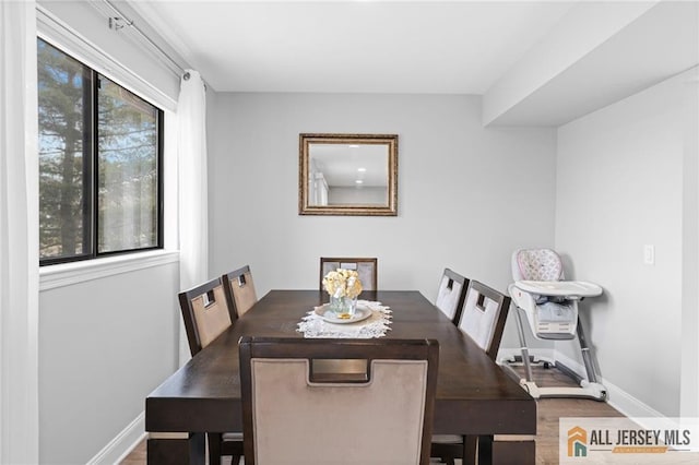 dining room featuring hardwood / wood-style floors