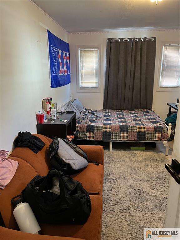 43 Senior St, New Brunswick, NJ 08901 - bedroom with multiple windows and carpet flooring