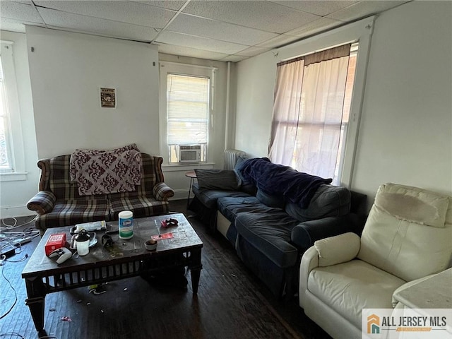 43 Senior St, New Brunswick, NJ 08901 - photo 2