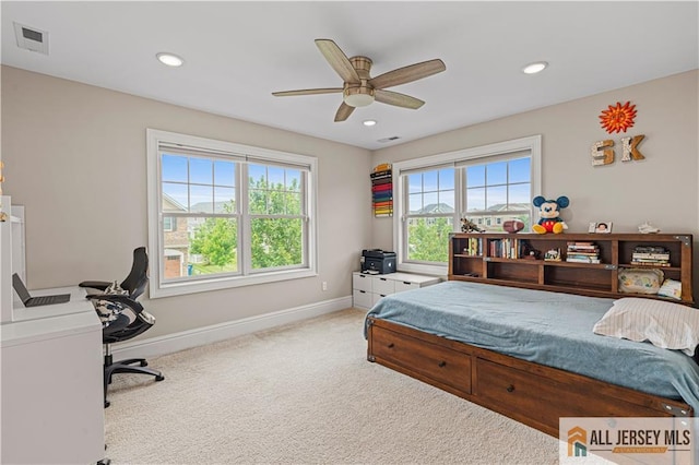 26 Mayfair Rd, Montgomery, NJ 08502 - photo 34