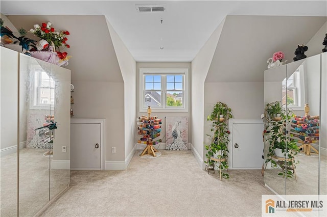 26 Mayfair Rd, Montgomery, NJ 08502 - photo 28