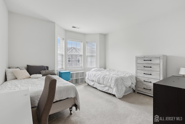 1525 Hudson Cir, Highland Park, NJ 08904 - view of carpeted bedroom