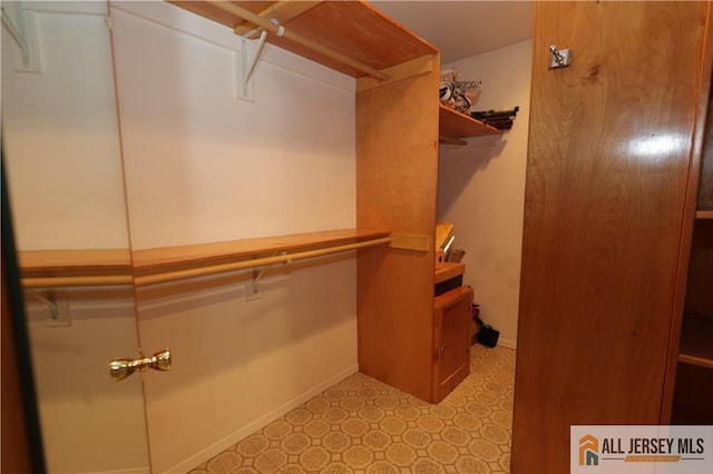 12 Tompkins Rd, East Brunswick, NJ 08816 - spacious closet with light floors