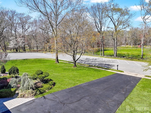 7 Arthurs Ct, Manalapan, NJ 07726 - view of green lawn featuring view of wooded area