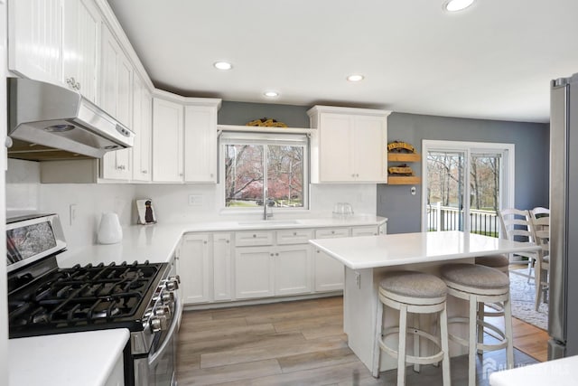 7 Arthurs Ct, Manalapan, NJ 07726 - kitchen featuring stainless steel appliances, under cabinet range hood, a sink, white cabinets, and recessed lighting