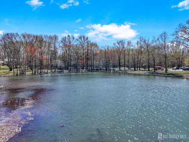 7 Arthurs Ct, Manalapan, NJ 07726 - water view
