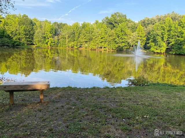 7 Arthurs Ct, Manalapan, NJ 07726 - water view featuring a forest