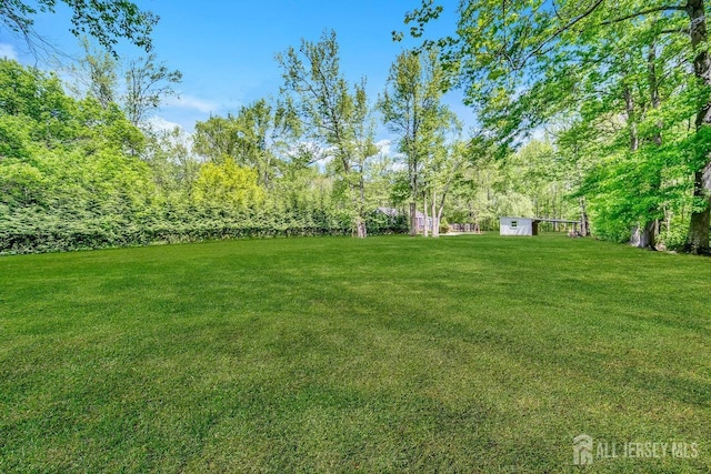 15 Federal Rd, Monroe, NJ 08831 - view of green lawn