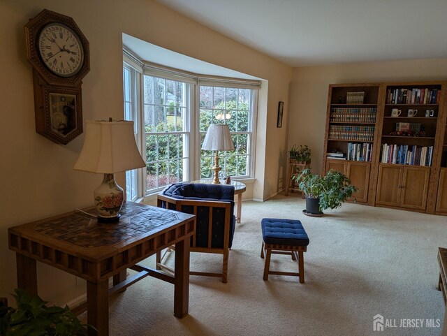 living area featuring light colored carpet