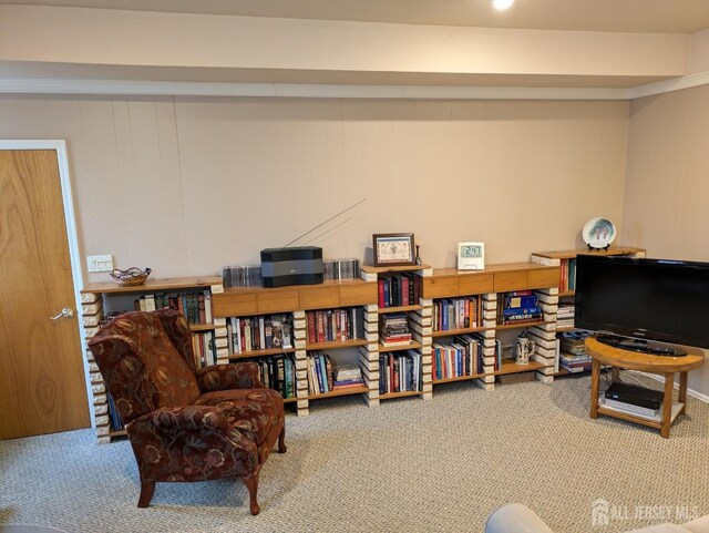 living area featuring carpet