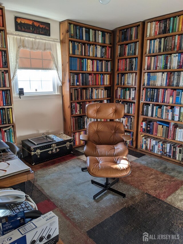 living area featuring carpet floors