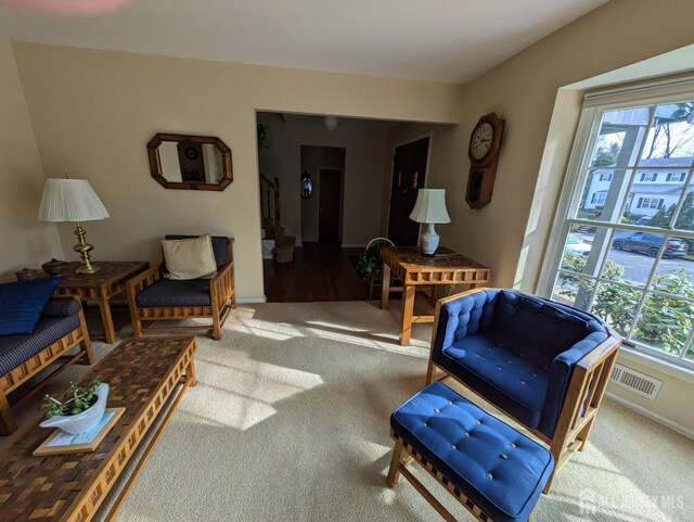 living room featuring carpet