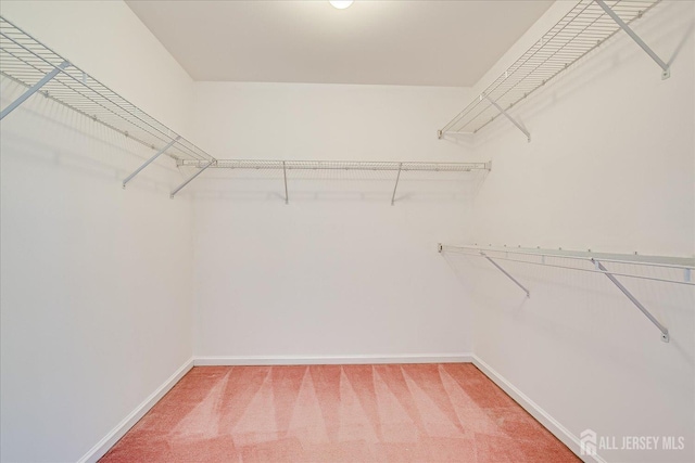 2 Durham Way E, Windsor, NJ 08520 - walk in closet featuring light carpet