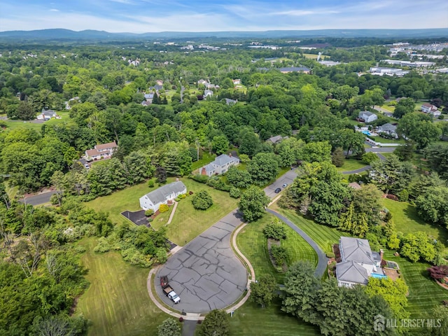 21 Shadyside Ct, Branchburg, NJ 08876 - aerial overview of property's location