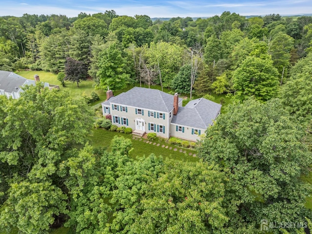 21 Shadyside Ct, Branchburg, NJ 08876 - view from above of property with a forest