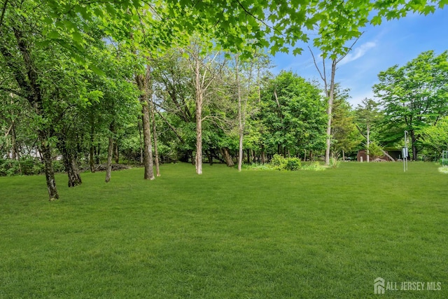 21 Shadyside Ct, Branchburg, NJ 08876 - view of grassy yard