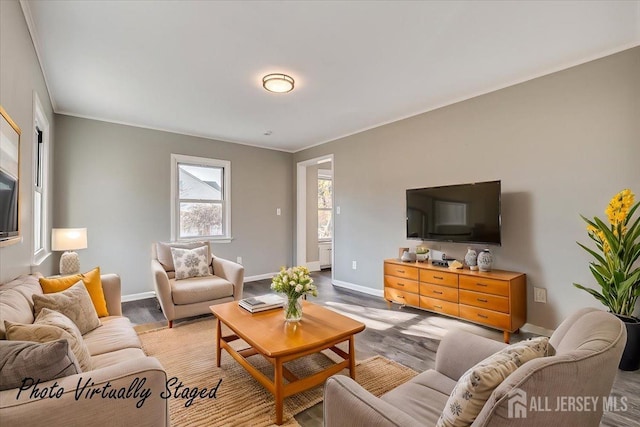 living room featuring crown molding and baseboards