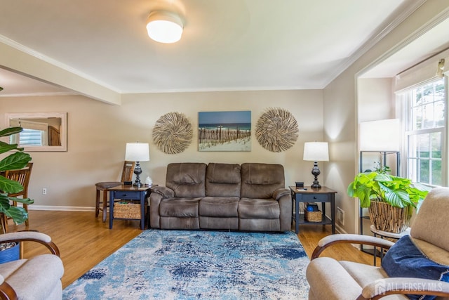 4 Wedgewood Ct, East Brunswick, NJ 08816 - living room featuring wood finished floors, ornamental molding, and baseboards