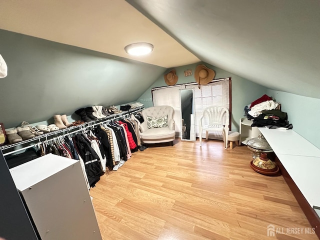 7 Hazelhurst St, New Brunswick, NJ 08901 - walk in closet featuring wood finished floors and lofted ceiling