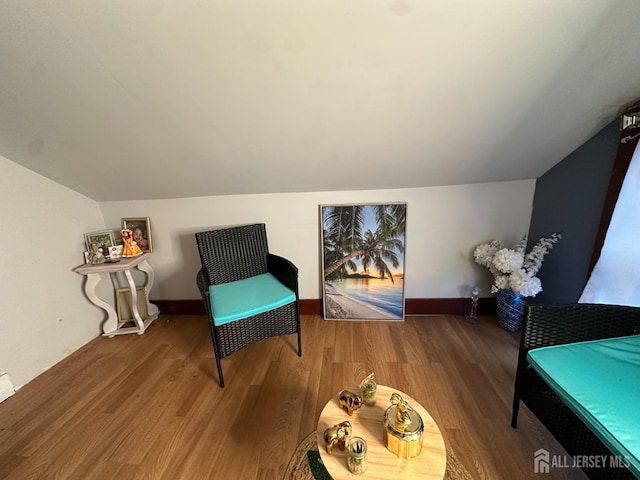 7 Hazelhurst St, New Brunswick, NJ 08901 - living area featuring lofted ceiling and wood finished floors
