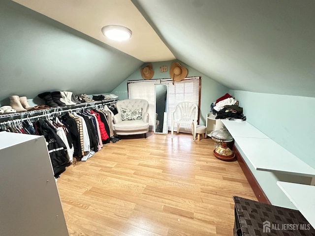 7 Hazelhurst St, New Brunswick, NJ 08901 - spacious closet with light wood finished floors and vaulted ceiling