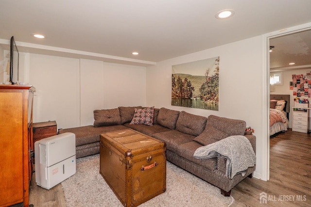 23 Elm Ave, Metuchen, NJ 08840 - living area featuring wood finished floors and recessed lighting