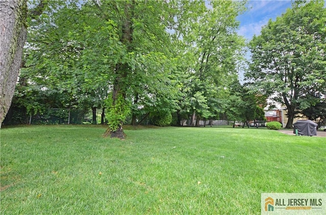 20 Rath Ln, East Brunswick, NJ 08816 - view of yard