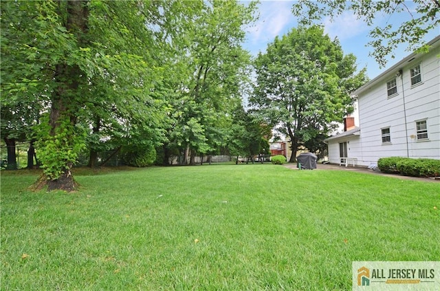 20 Rath Ln, East Brunswick, NJ 08816 - view of yard