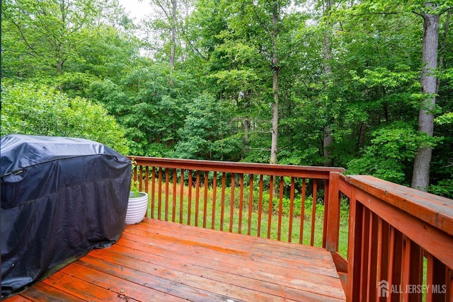 141 Briarwood Dr, North Brunswick, NJ 08902 - photo 24
