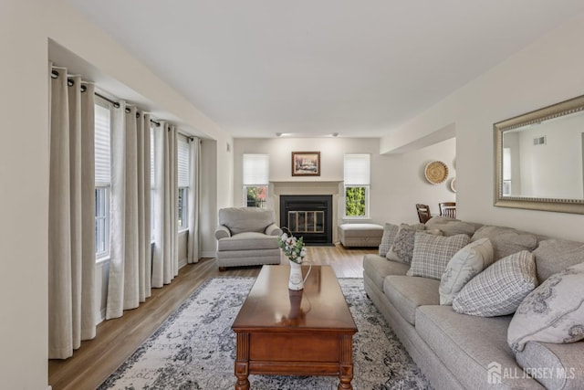 6 E Wintergreen Ave, Edison, NJ 08820 - living area with light wood-type flooring and a glass covered fireplace
