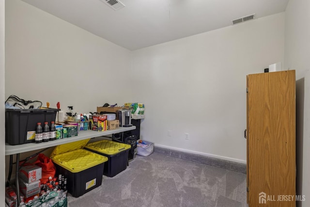 6 E Wintergreen Ave, Edison, NJ 08820 - view of storage room