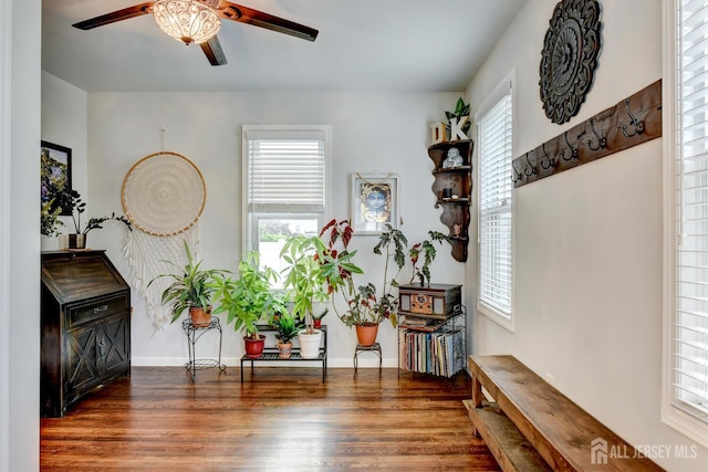 382 Highland St, South Amboy, NJ 08879 - living area featuring ceiling fan and wood finished floors