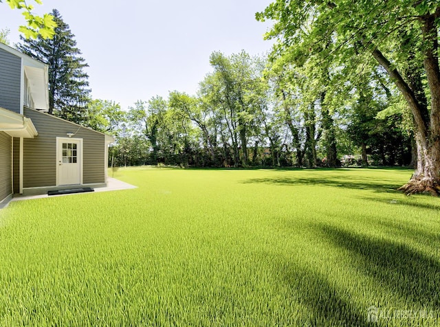 44 Sullivan Way E, Brunswick, NJ 08816 - view of green lawn featuring view of wooded area