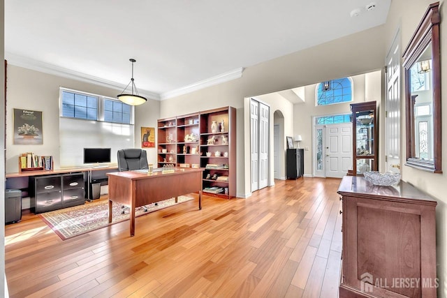 146 Aristotle Way E, Windsor, NJ 08512 - office with light wood-style flooring, arched walkways, and ornamental molding