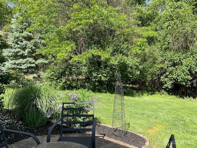 146 Aristotle Way E, Windsor, NJ 08512 - view of grassy yard
