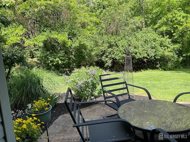 146 Aristotle Way E, Windsor, NJ 08512 - view of patio