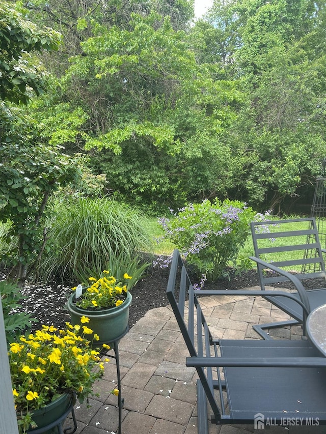 146 Aristotle Way E, Windsor, NJ 08512 - view of patio