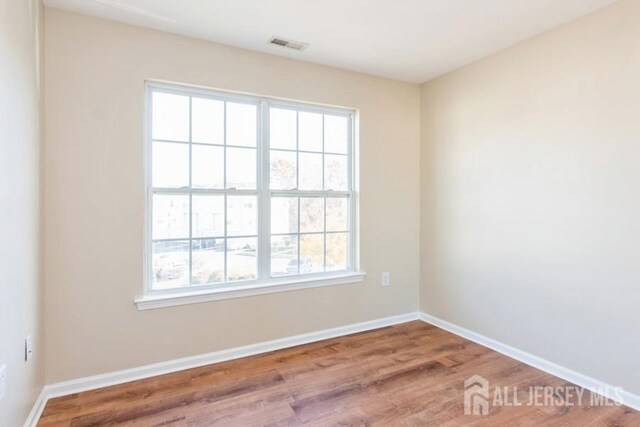 empty room with a wealth of natural light and hardwood / wood-style floors