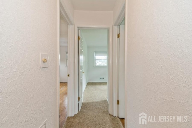 42 Corona Rd, East Brunswick, NJ 08816 - corridor with a textured wall and carpet floors