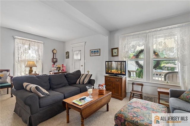 28 Wildwood Ave, Fords, NJ 08863 - living room with light colored carpet