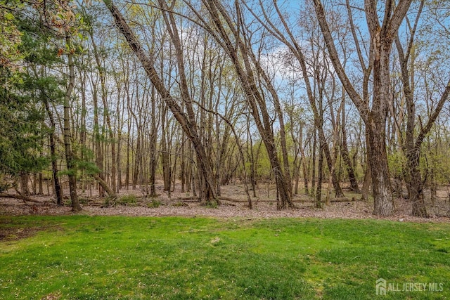 441 Sayre Dr, Plainsboro, NJ 08540 - view of green lawn